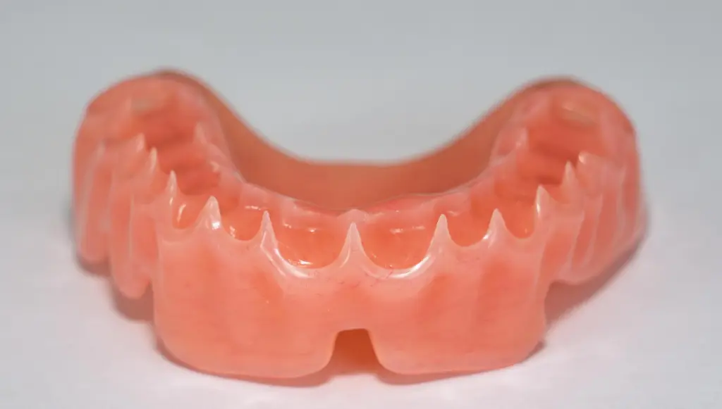 Base Gencive PMMA P1