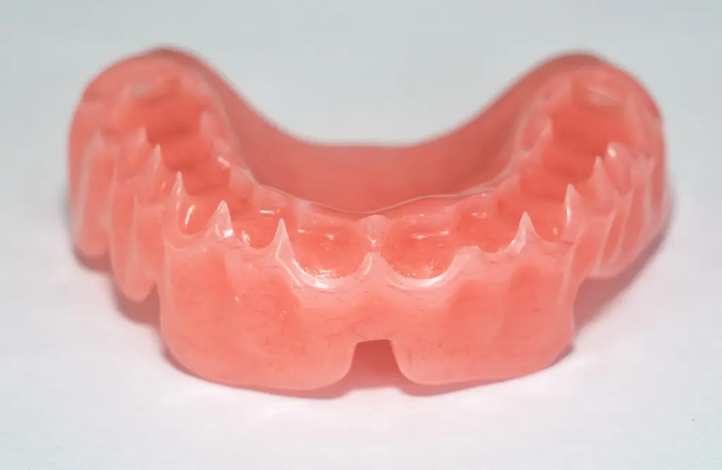 Base Gencive PMMA P4