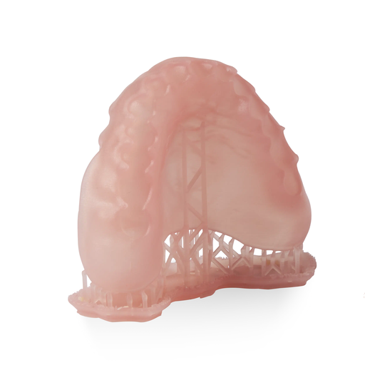 [BASE LP IMP] Base gencive LP